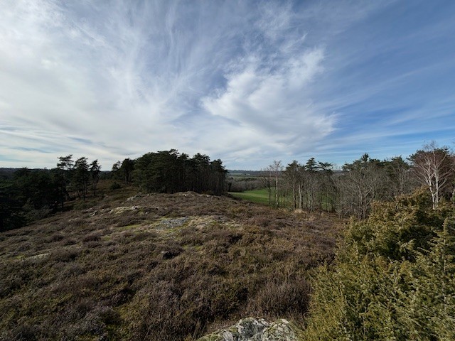 Les combes de la Cazine