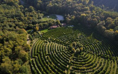 Labyrinthe Géant des Monts de Guéret